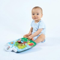 т